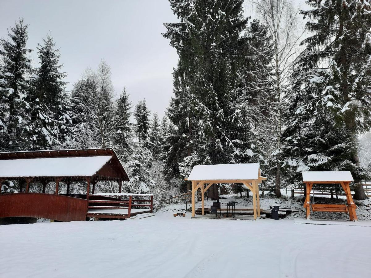 Pensiunea Teodora Moisei Buitenkant foto